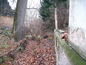 Snímek 017.jpg