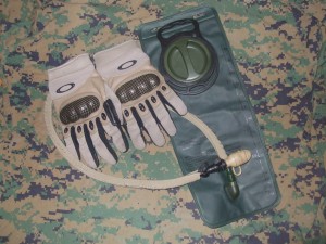 DSCF49131.jpg