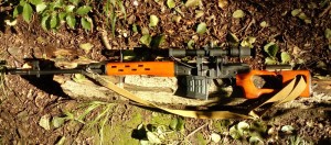 svd03.jpg