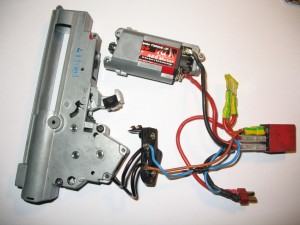 mini IMG_9285.jpg