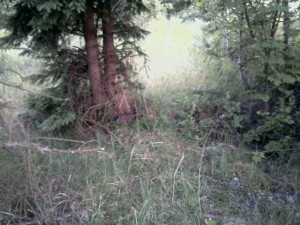 Photo-0277.jpg