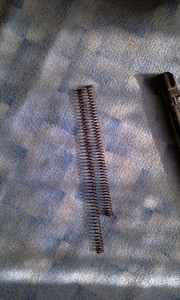 IMAG0386.jpg