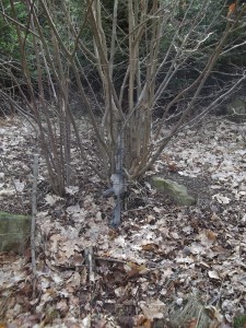 100_0309.JPG